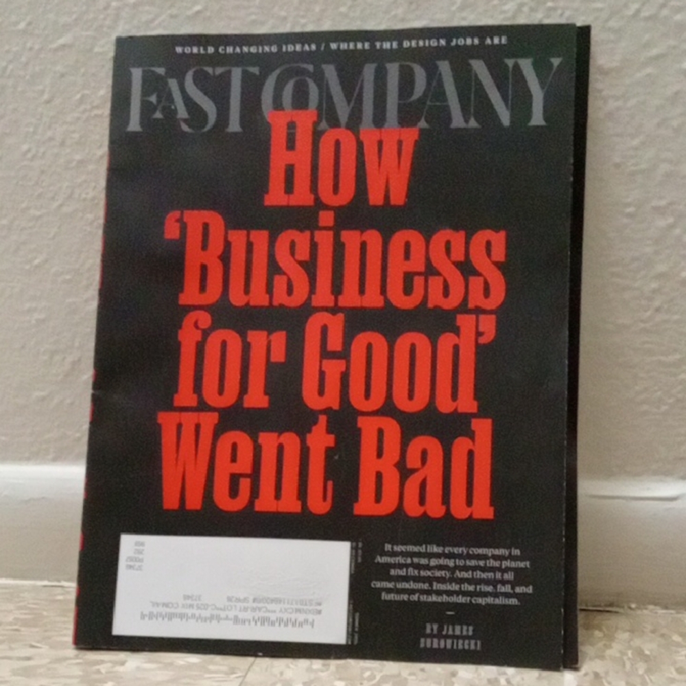 Fast Company Magazine "How 'Business for Good' Went Bad"